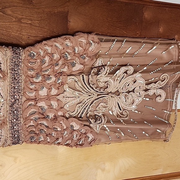 Sue Wong Sunning Sequin Beaded Mini Cocktail Dress size 2 sandalwood color - Picture 15 of 17